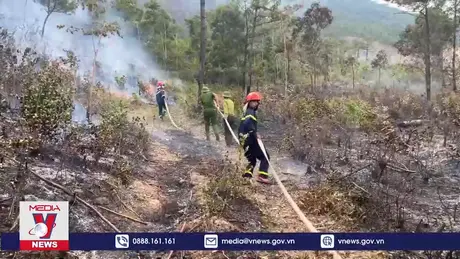 Quảng Bình lại cháy rừng ở xã Quảng Đông