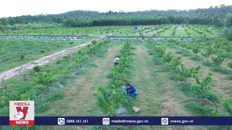 Phụ nữ đóng góp nhiều cho phát triển nông nghiệp