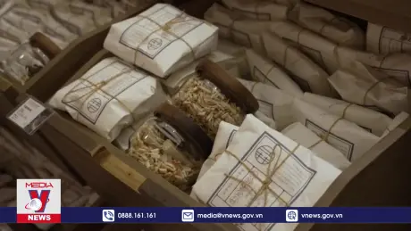 Giởi trẻ trở lại với liệu pháp sức khoẻ truyền thống