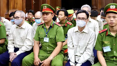 Vụ án liên quan đến Cục Đăng kiểm Việt Nam: Một số bị cáo sử dụng yếu tố hoàn cảnh để bao biện cho hành vi phạm tội