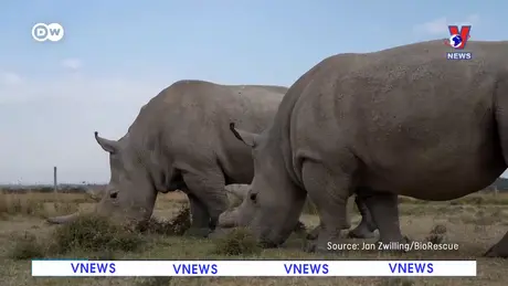 Tạp chí toàn cầu số 1001 ngày 13/8/2024