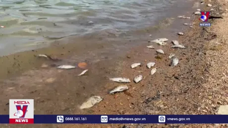 Chất lượng nước sạch tại hồ Rào Đá đạt trong giới hạn cho phép