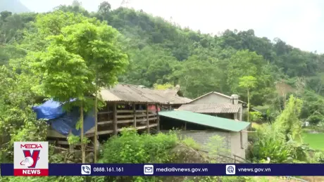 Hà Giang ngăn chặn, khống chế dịch tả lợn châu Phi