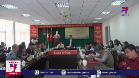 Lâm Đồng trả lời về bò sữa bị chết sau tiêm vaccine