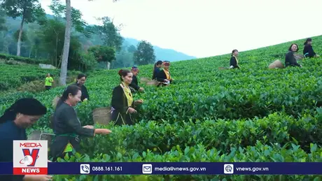 Phim tài liệu: Ngát hương vùng đất La Bằng