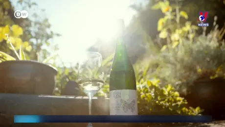 Tạp chí toàn cầu 1003 ngày 15/8/2024