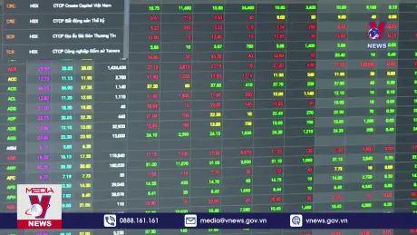Bản tin thời sự 8h ngày 15/8/2024