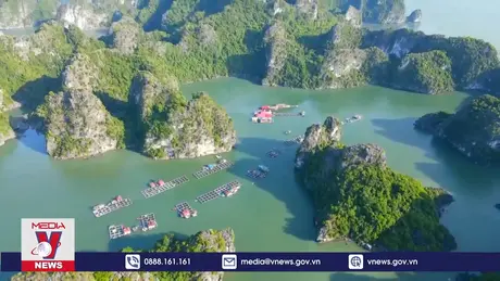 Vung Viêng, một trong những làng chài đẹp nhất thế giới