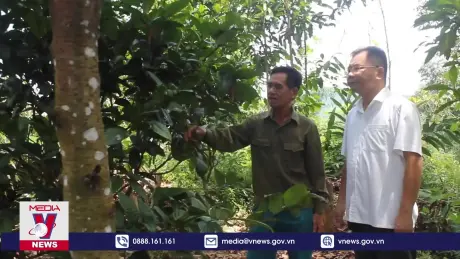 Quảng Ninh phát triển sinh kế bền vững từ cây dược liệu