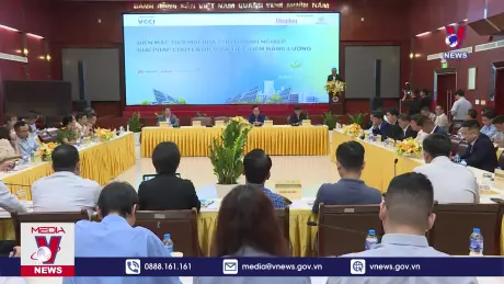 Bản tin thời sự 20h ngày 16/8/2024