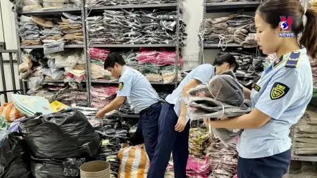 Đường dây nóng 389 ngày 16/8/2024