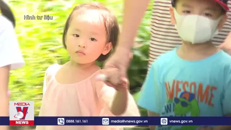 Rà soát, hoàn thiện chính sách dân số