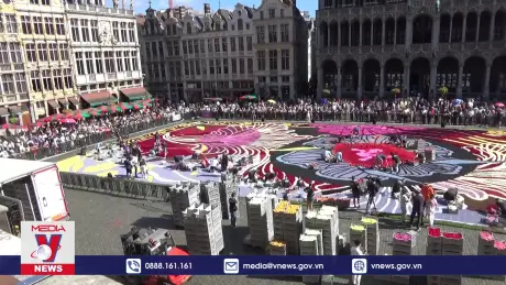Thảm hoa Brussels, kiệt tác giữa lòng châu Âu