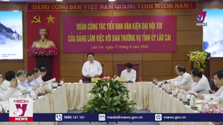 Bản tin thời sự 20h ngày 17/8/2024