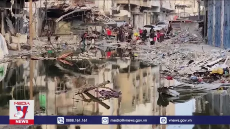 Palestine xác nhận về trường hợp mắc bại liệt đầu tiên tại Gaza