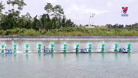 Nhật trình kinh tế ngày 17/08/2024