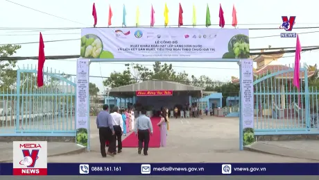 Bản tin thời sự 8h ngày 18/8/2024