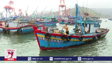 Tiêu điểm kinh tế: Gỡ 