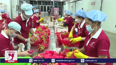 Xuất nhập khẩu năm 2024 có thể đạt mức kỷ lục