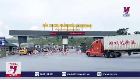 Bản tin thời sự 17h ngày 18/8/2024