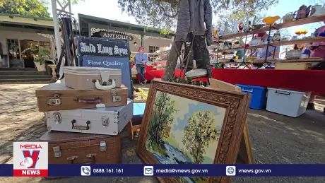 Thú vui đi phiên chợ đồ cổ, đồ cũ của người dân Nam Phi