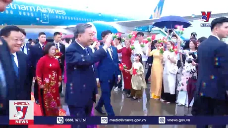 Bản tin thời sự 11h ngày 18/8/2024