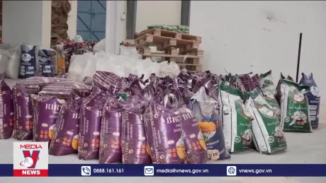 Nhật trình kinh tế: Nỗi sợ xe điện tại Hàn Quốc