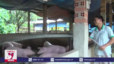 Chỉ có 10 cơ sở chăn nuôi ở Đồng Nai di dời đến nơi mới