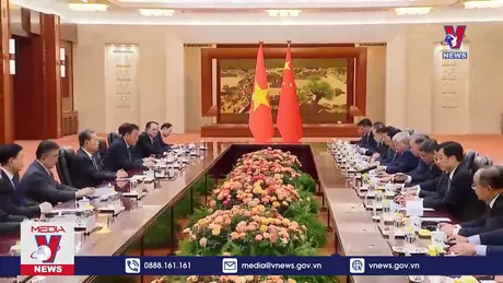 Bản tin Thời sự 20h ngày 19/8/2024