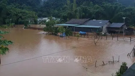 Thời tiết ngày 19/8: Bắc Bộ mưa dông, Trung Bộ và Nam Bộ nắng nóng gay gắt