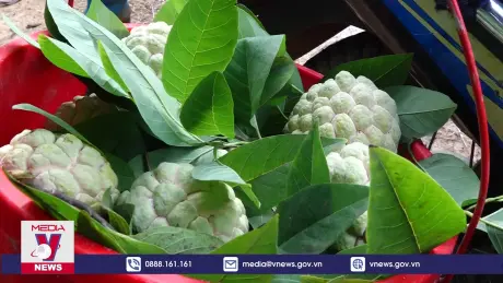 Na Chi Lăng đạt chuẩn OCOP 4 sao