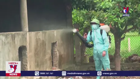 Quảng Bình: Chủ động phòng chống bệnh dịch tả lợn Châu Phi