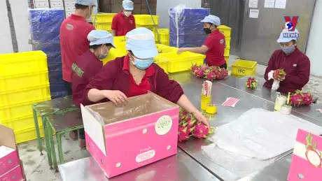 Nhật trình kinh tế ngày 20/8/2024