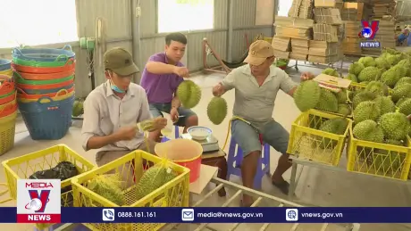 Trái cây của Việt Nam đã có mặt tại 60 quốc gia