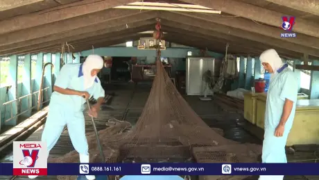 Bản tin thời sự 8h ngày 20/8/2024