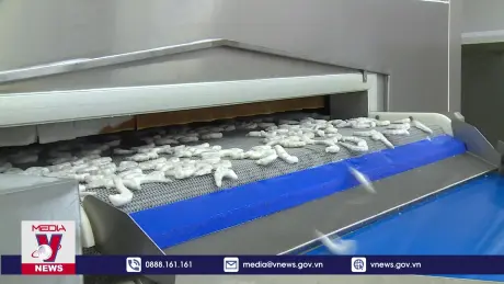 EU ban hành quy định mới về nhập khẩu thủy sản