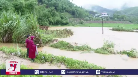 Mưa lũ tại Tuyên Quang khiến một người thiệt mạng