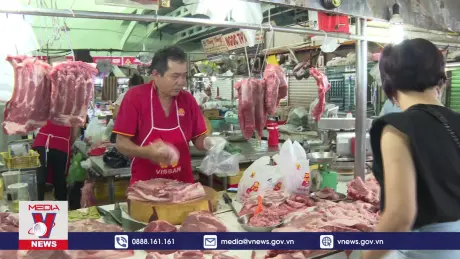 Thịt heo tăng giá, người chăn nuôi không mặn mà tái đàn