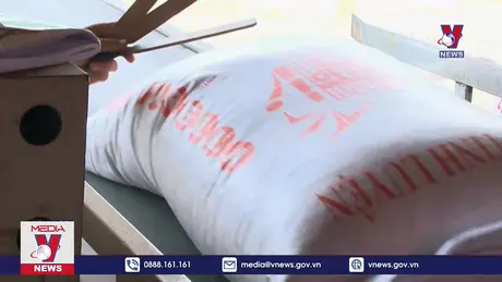 Giá gạo Việt tăng cao nhất thế giới