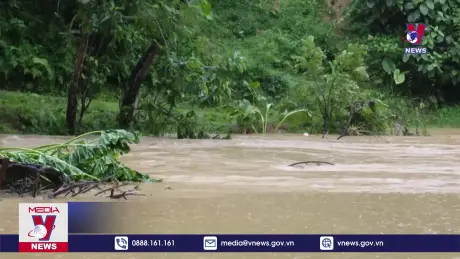 Bản tin Thời sự 17h ngày 21/8/2024