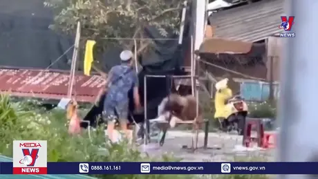 Đà Lạt xử lý phản ánh về tình trạng ngược đãi động vật nuôi