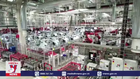 Trung Quốc điều tra trợ cấp sữa nhập khẩu từ EU