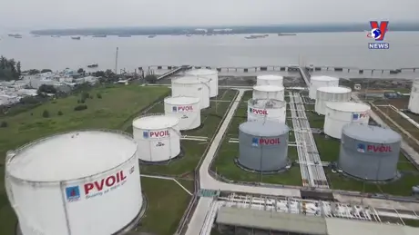 Nhật trình kinh tế ngày 21/8/2024