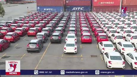 Mỗi ngày cả nước nhập về khoảng 355 ô tô con