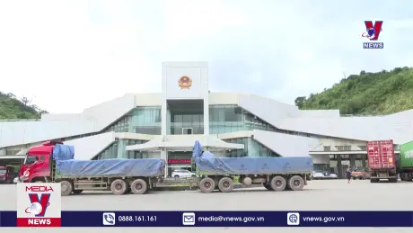Kim ngạch xuất nhập khẩu qua Cửa khẩu quốc tế Cầu Treo giảm mạnh