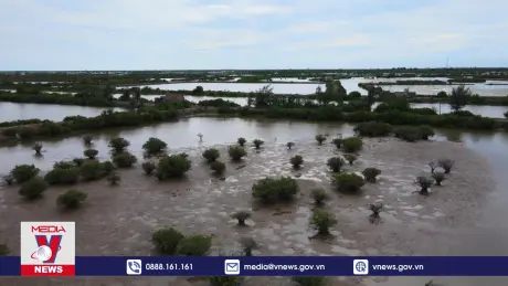 Bảo đảm phát triển kinh tế biển đi đôi với bảo tồn đa dạng sinh học