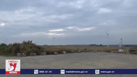 Thúc đẩy hợp tác Việt - Bỉ trong lĩnh vực năng lượng tái tạo