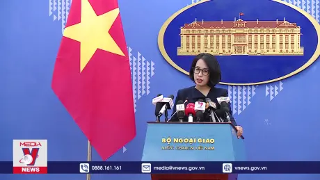 Việt Nam lấy làm tiếc về phán quyết vụ kiện của bà Trần Tố Nga