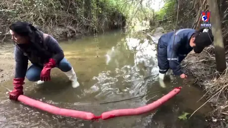 Tương Lai Xanh ngày 22/8/2024