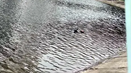 Hà Nội: Phát hiện thi thể dưới hồ Linh Đàm